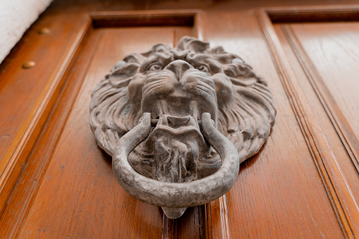 Old doorbell. Call in the form of a lion's head. Close-up