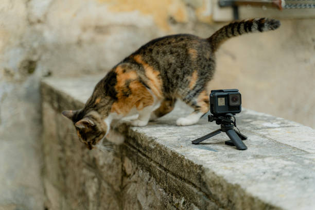 istock Action camera. The action camera stands on a tripod and shoots. 1368967284