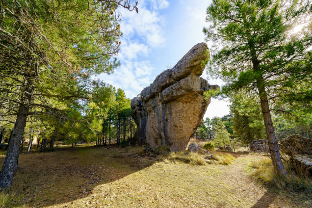 istock High-rise rock formation next to tall pine trees in Ciudad Encantada, Cuenca. 1368968616