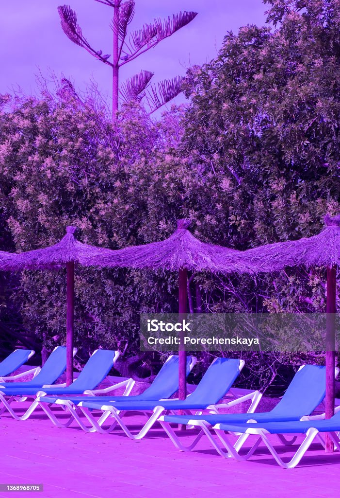 Sun loungers in luxurious resort background. Travel, summer,vacation, relax concept. Purple colors trend, very peri wallpapers Atlantic Ocean Stock Photo