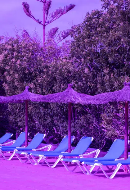 Sun loungers in luxurious resort background. Travel, summer,vacation, relax concept. Purple colors trend, very peri wallpapers