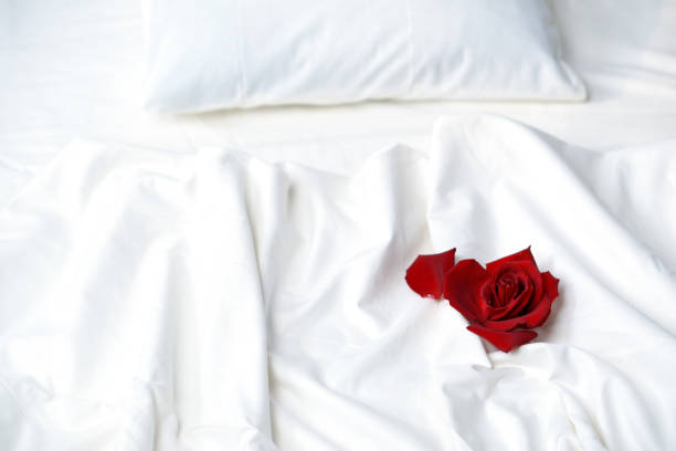 istock Bud of a red rose on a white bed. 1368974106