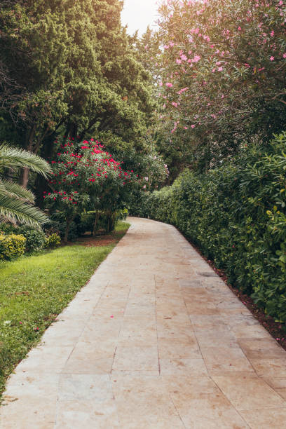 istock Tiled hiking trail through a tropical garden and lush shrubbery 1368974154