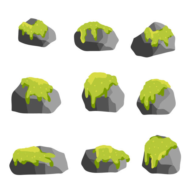 Element of mountain and forest. Set of Rocks with grass or moss for scenery view - cartoon illustration Element of mountain and forest. Set of Rocks with grass or moss for scenery view - cartoon illustration moss stock illustrations