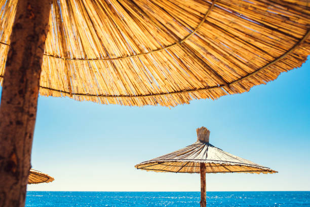 istock Beach sun umbrellas made of natural material 1368978731