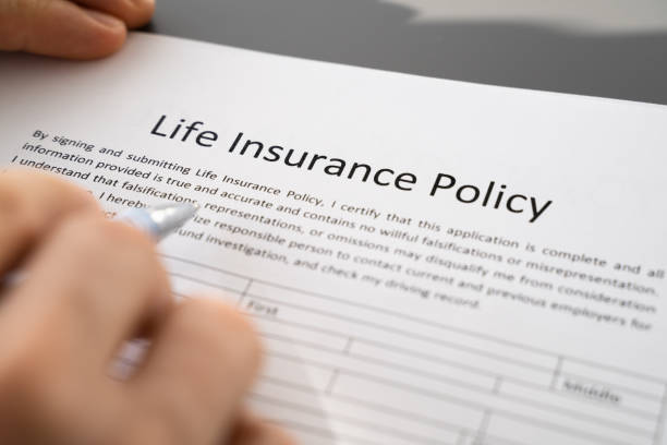 istock Person Hand Filling Life Insurance Policy Application 1368983641