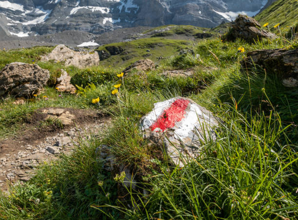 view of a mountain hiking trail with trail markings in white and red in the swiss alps stock photo