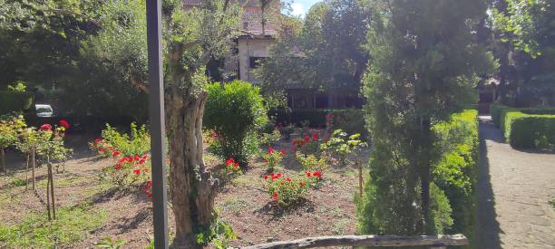 istock Flowers in the park 1368984833