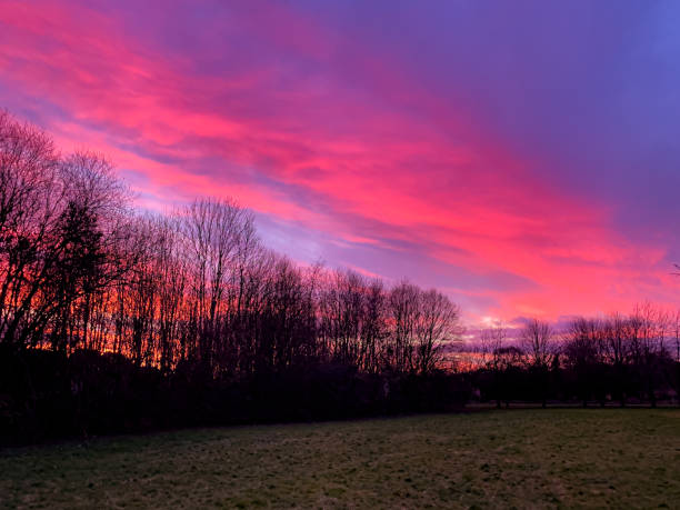 istock Winter sunset in South East England 1368986908