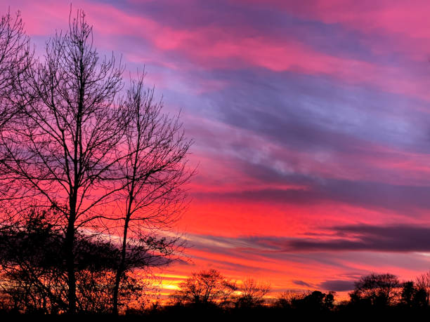 istock Winter sunset in South East England 1368986912