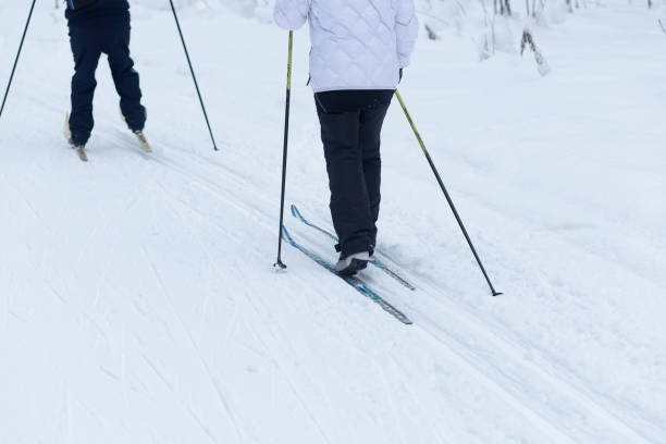 istock Cross country skilling. 1368988638