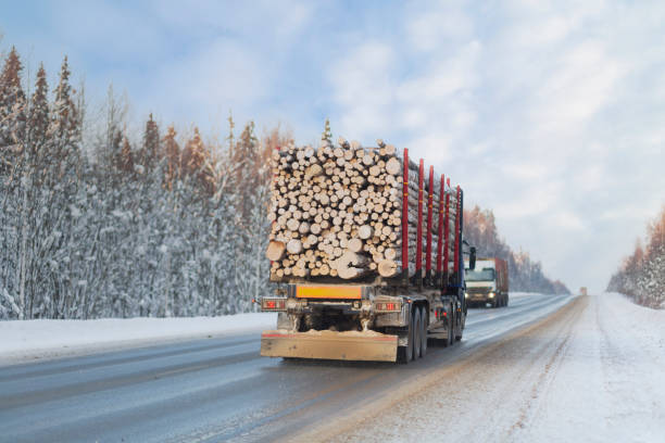 istock A logging truck carries lumber along a winter highway. 1368989633