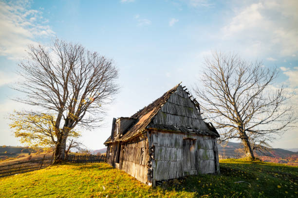 Abandoned wooden house built on grassy hill near fence surrounded by bare trees in highland against distant mountains at sunny autumn sunset