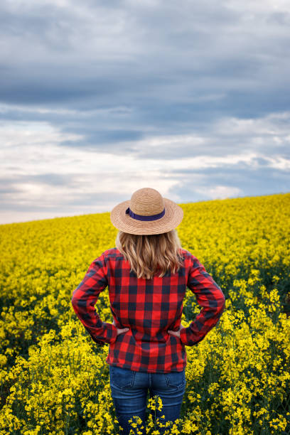 istock Proud farmer is looking at blooming oilseed field during sunset 1368992194
