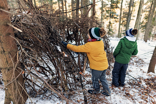 Children building stick shelter in winter forest