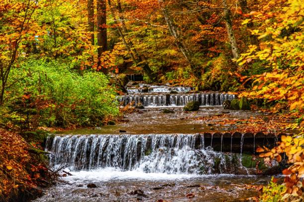 istock Narrow stream falling down mountain slope in autumn forest 1368994582