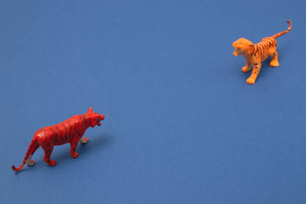 istock Two tigers facing each other, on a blue background. Minimal animal scene. 1368995673