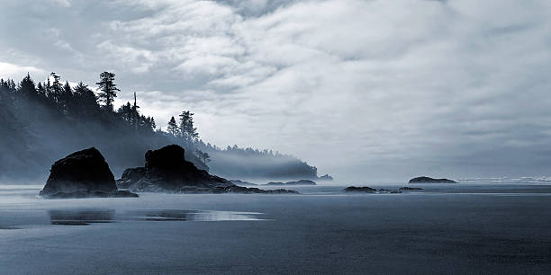 pristine wilderness beach wilderness beach with sea stacks, panoramic frame olympic peninsula photos stock pictures, royalty-free photos & images