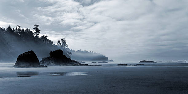 pristine wilderness beach wilderness beach with sea stacks, panoramic frame northwest stock pictures, royalty-free photos & images