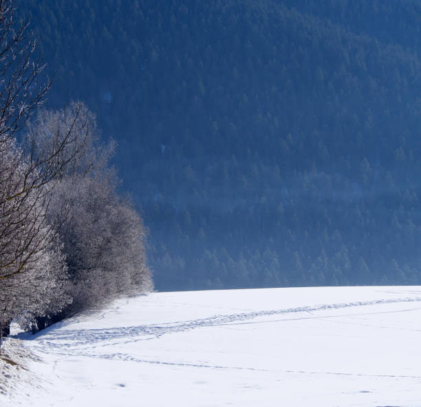 istock Autrans village . Vercors 1368999046