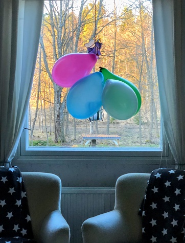 Four multicolored balloons inside the room against the window with sunlighted trees