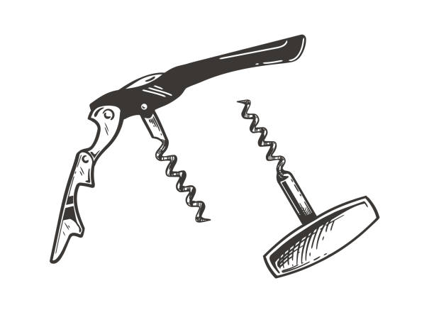 Corkcrew hand drawn Vector hand drawn sketch of corkscrew set in hand drawn style. Vector vintage engraved illustration. corkscrew stock illustrations