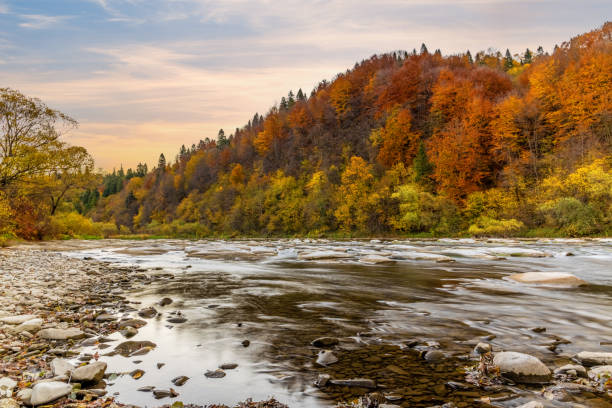 istock Rocky cliff with yellowed trees and mountain river in autumn 1369000962