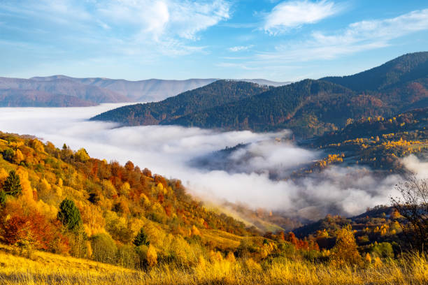 istock Giant valley surrounded by forestry mountains in highland 1369001363