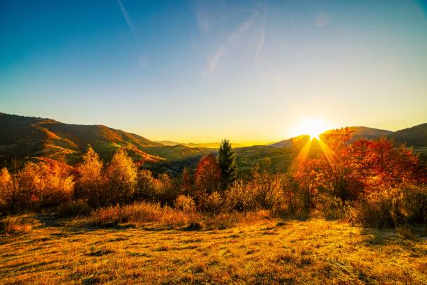 istock Grassy slopes with lush trees against mountains at sunset 1369001436