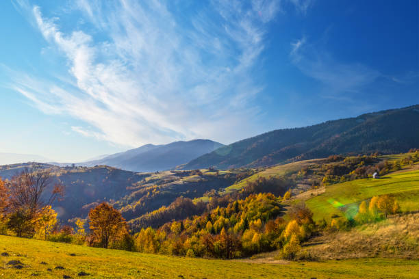 istock Highland with giant forestry mountains surrounded by fog 1369001624