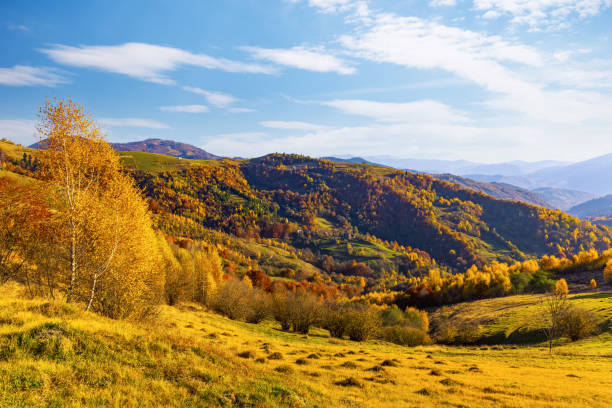 istock Highland with giant forestry mountains surrounded by fog 1369002364