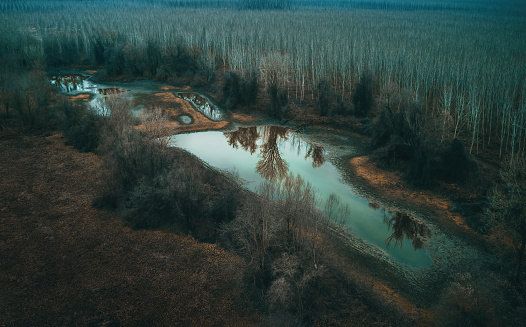 Aerial view of drying pond lake in secluded wooded area in cold autumn morning, high angle view dramatic spooky landscape