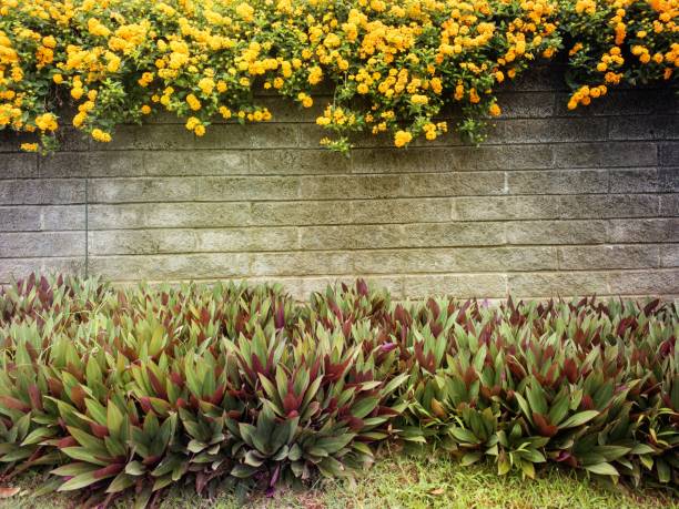 istock Frame of flowers wall border 1369008089