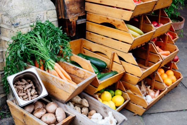 istock Fresh vegetables market stand 1369011941