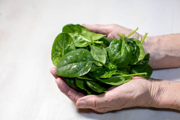 istock fresh spinach leaves in woman's hands on white wooden background 1369015336