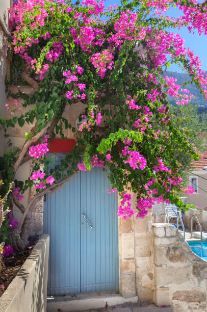 istock Old wooden door 1369015399
