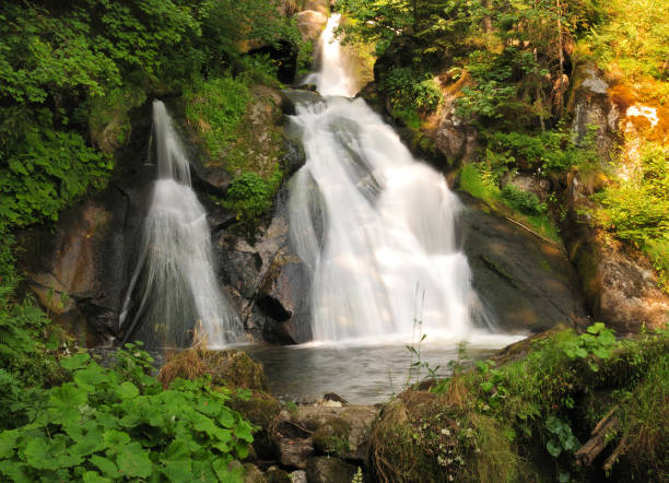 아름다운 화창한 여름 날에 검은 숲 독일에서 트리베르크 폭포의 긴 노출 - black forest waterfall triberg landscape 뉴스 사진 이미지