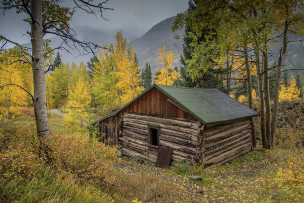 Hut on the autumn forest glade in Austria