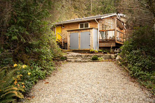 Gravel driveway leading up to a rustic log cabin tucked away in a pine forest