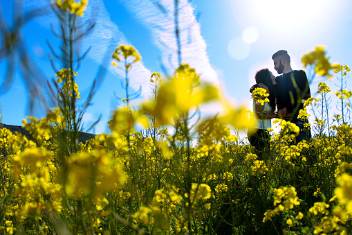Portrait of a young couple kissing in a field of flowers on a sunny day.