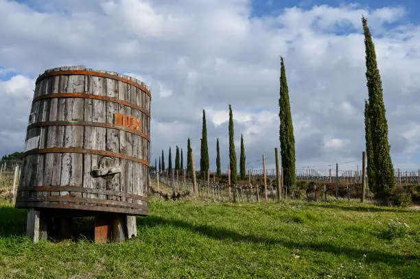 Photo of Landscapes and vineyards of Montefalcone