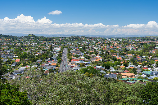 A view of houses in the Auckland suburb of Mt Roskill as viewed from Owairaka Domain