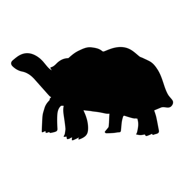 ilustraciones, imágenes clip art, dibujos animados e iconos de stock de silueta vectorial de tortuga dibujada a mano - animals and pets isolated objects sea life