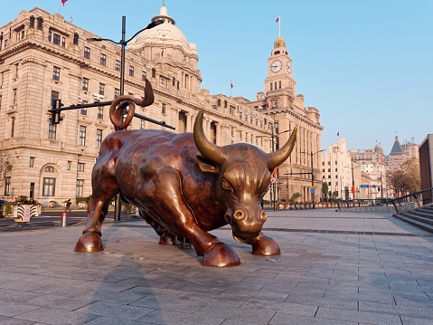 Shanghai, China - Dec. 28, 2019: Bronze bull on The Bund in Shanghai, Iron bull statue in front of Chinese banks on the Waitan Bund promenade, ultra wide angle view.