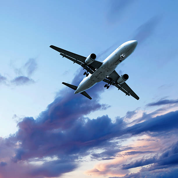 jet airplane landing at sunset