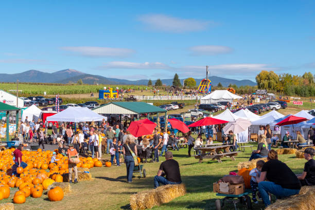 des familles recherchent des citrouilles lors d’un festival de la récolte d’automne en octobre à green bluff, une banlieue de spokane washington, aux états-unis. - washington state spokane farm crop photos et images de collection