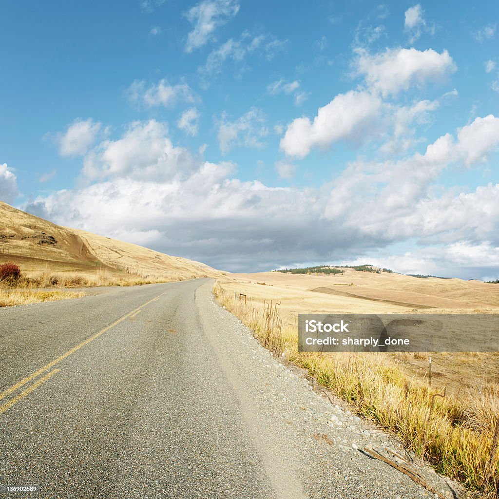 GGG altas planícies do Deserto de estrada - Foto de stock de A caminho royalty-free