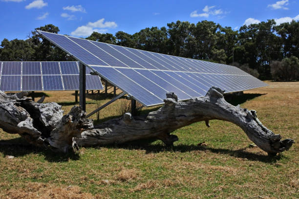 istock Large solar panels in a farmland 1369028609