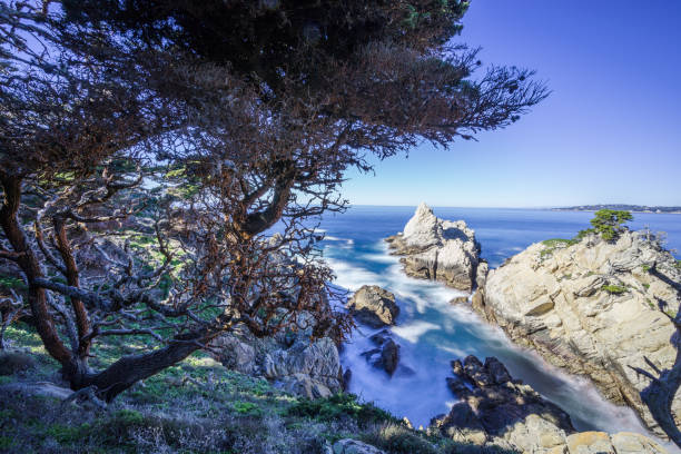 istock Point Lobos State Reserve, California Coastline 1369029684