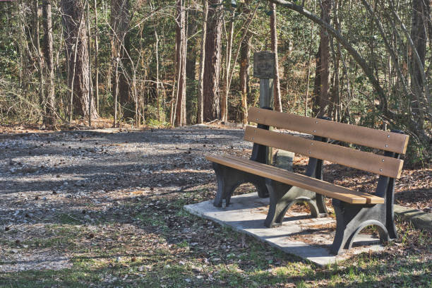 istock Moody Nature Trail Bench 1369037142